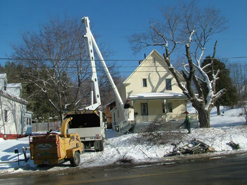 residential tree removal